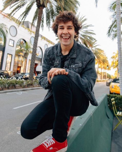 How Much Money Does David Dobrik Have? 80 Fun Facts About The Net Worth, Income Sources Of The Rich YouTuber