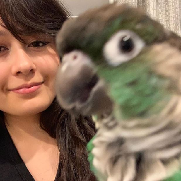 50 Jaiden Dittfach Fun Facts: How Much Money Jaiden Animations Make On YouTube? Net Worth, Real Name, Bird Ari Tofu, Bio, Wiki, Salary, Phone Number, Age, Height, Career & More