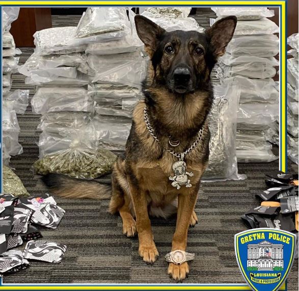 K-9 Officer Wears A $15k Chain And A $50k Watch After A 100-pound Drug Bust