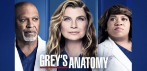 Grey's Anatomy Season 19 Has All New Cast and Characters - Get To Know Them