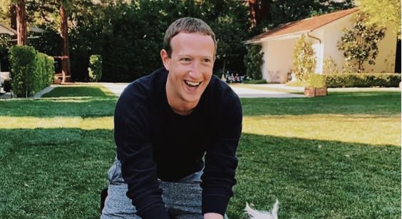 Why did Mark Zuckerberg loses so much money?