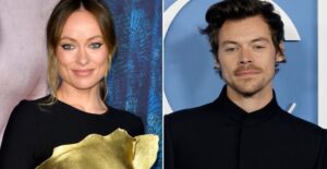 Why Did Harry Styles and Olivia Wilde Break Up? Here's What We Know About Their Split
