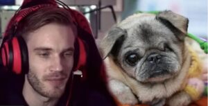 What Happened To PewDiePie's Dog, Maya? Details On The YouTuber's Pug's Cause Of Death￼