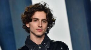 Who Are Timothée Chalamet's Parents and What Do They Do For A Living? The Actor's Mom, Dad, and Sister￼