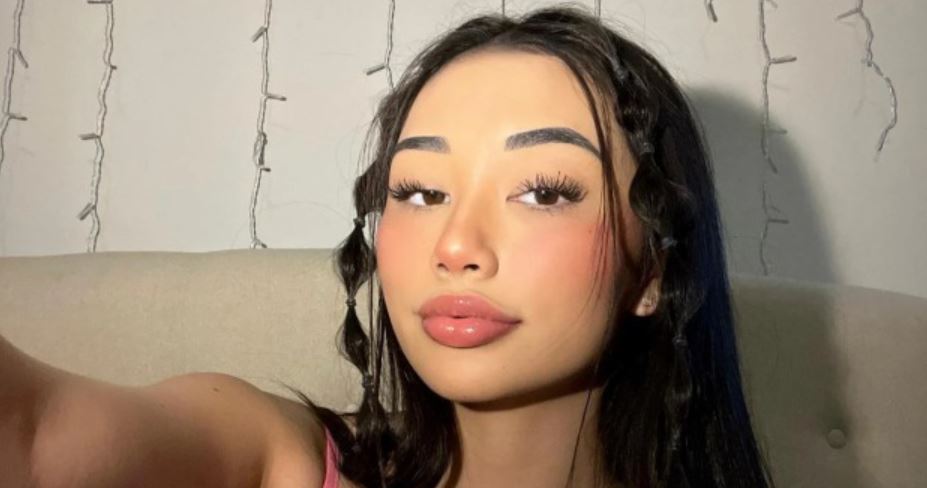 Ellerie Marie gains public sympathy following the tragic loss of her first child with her boyfriend RiceGum. Her biography, Net Worth, Job, Age, Nationality, Parents, Boyfriend, Kids, Wiki is explored.